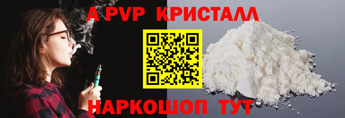 Альфа ПВП СК Новокубанск