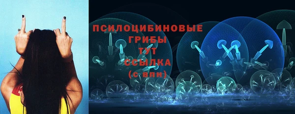 бошки Алексин