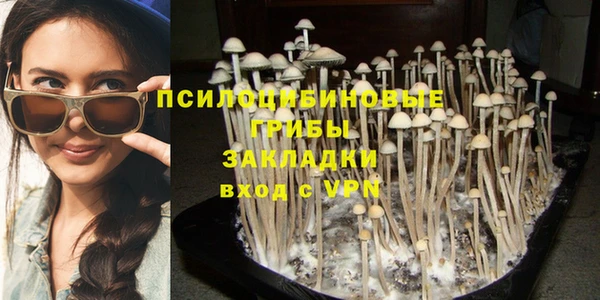 прущий лед Алексеевка
