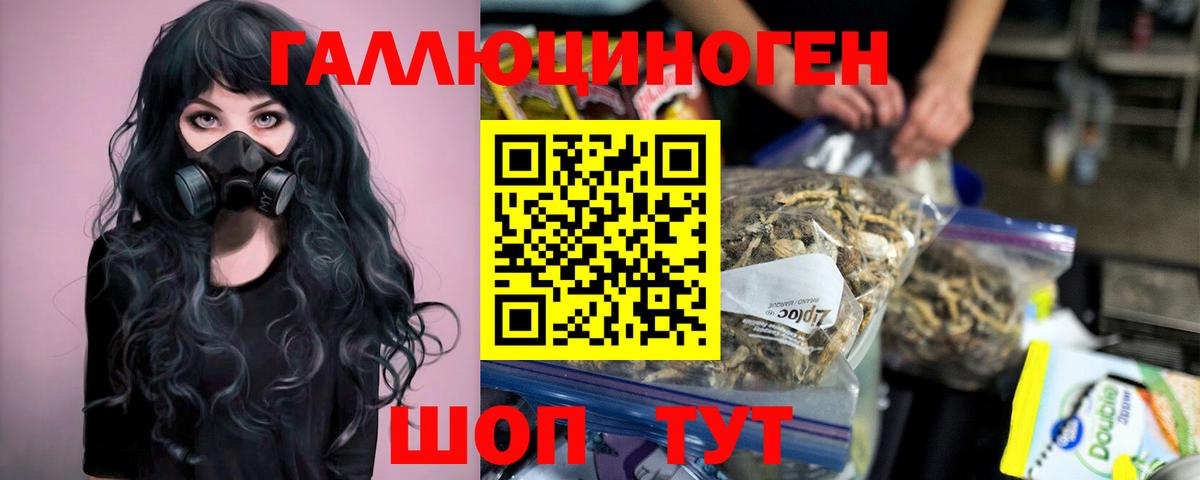 Галлюциногенные грибы Magic Shrooms  Вход с VPN  Новокубанск  Галлюциногенные грибы GOLDEN TEACHER 