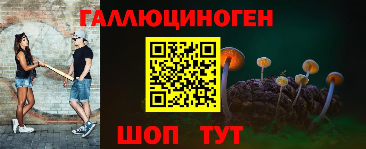 Галлюциногенные грибы прущие грибы Новокубанск