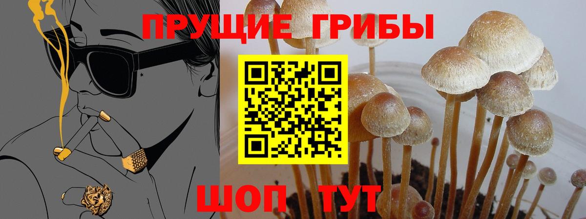 Новокубанск  Канабис  Гашиш  Вход с VPN  Cocaine  ГАШ  Мефедрон  