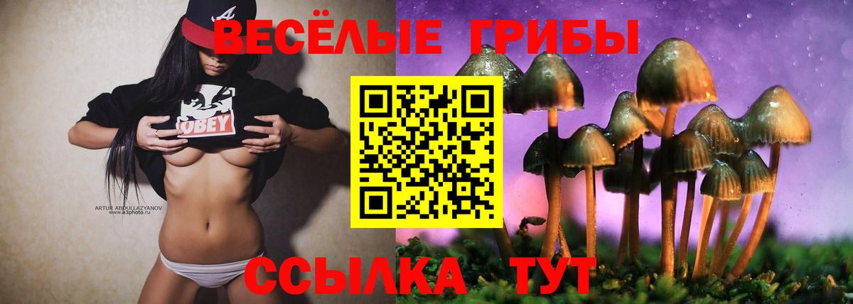 Псилоцибиновые грибы Psilocybine cubensis  Вход с VPN  Новокубанск 