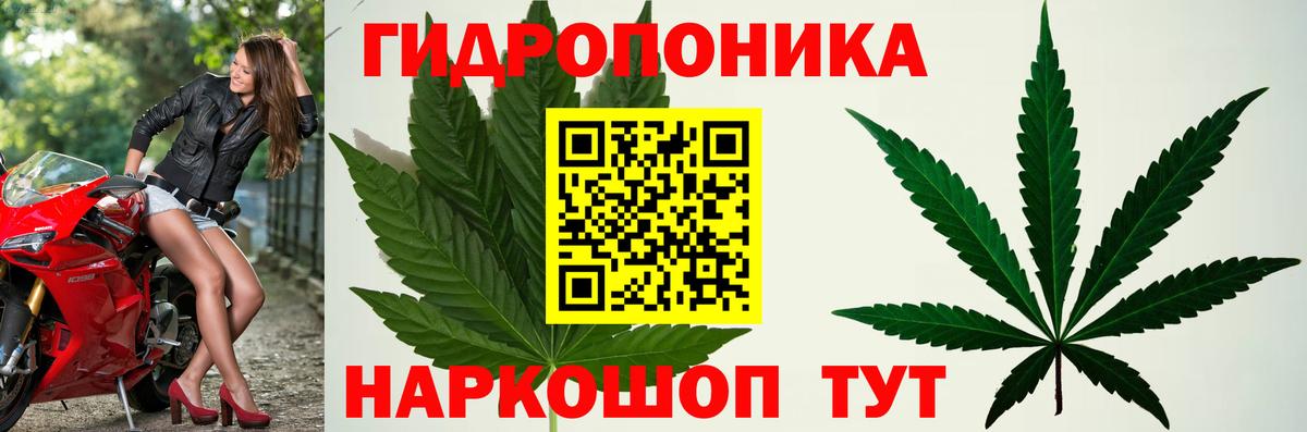 Марихуана Bruce Banner Новокубанск
