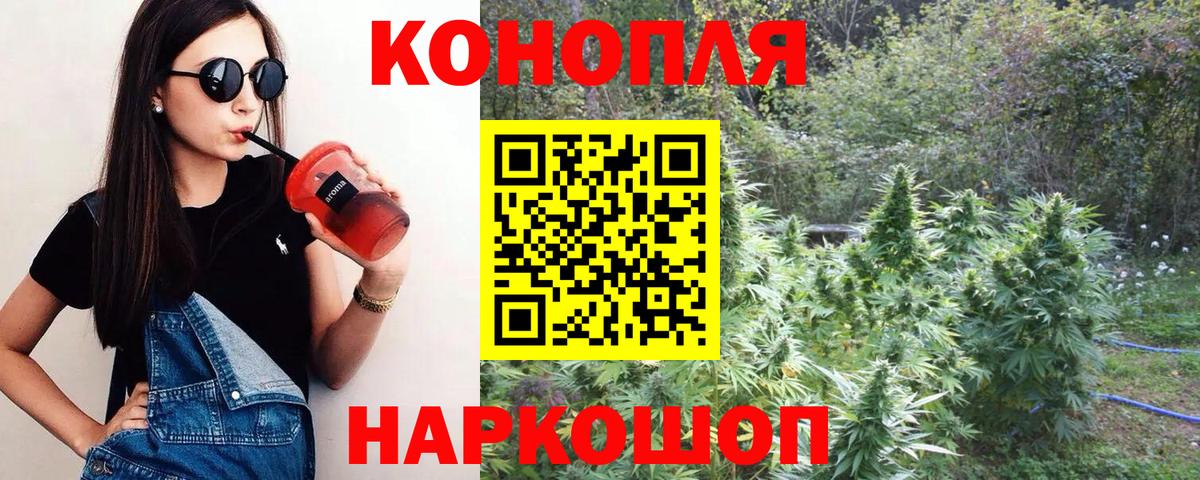 Бошки Шишки AK-47  Вход с VPN  Конопля AK-47  Новокубанск  Канабис сатива 